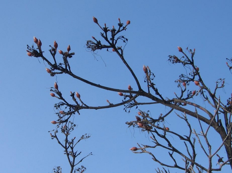 f:id:atarou:20120329170954j:image