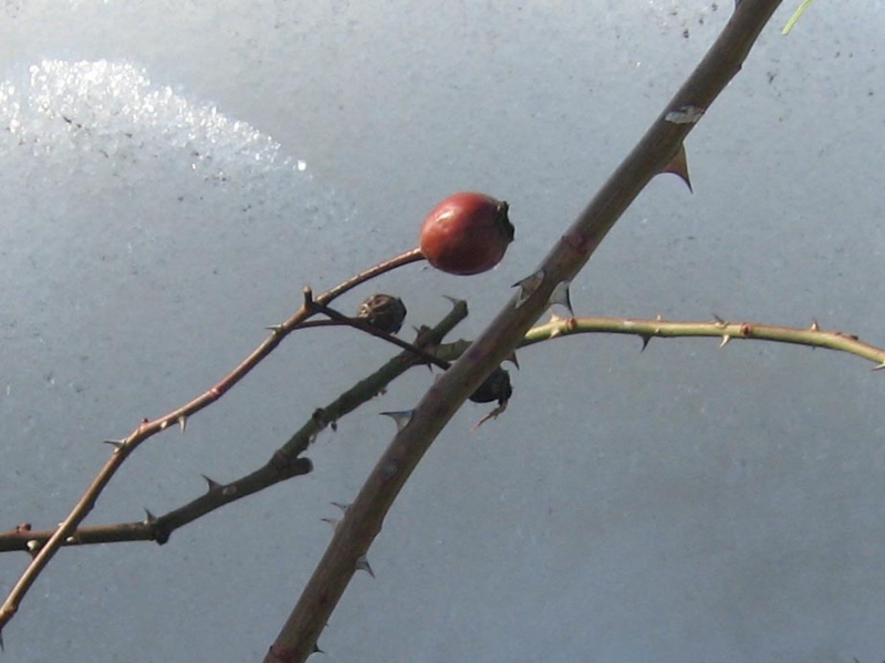 f:id:atarou:20120329170955j:image