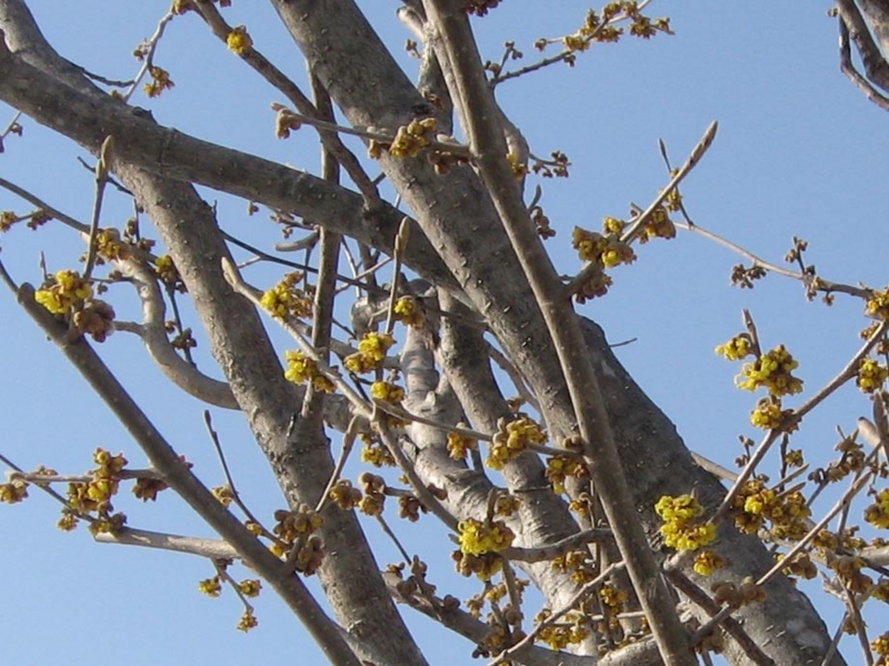 f:id:atarou:20120329171317j:image