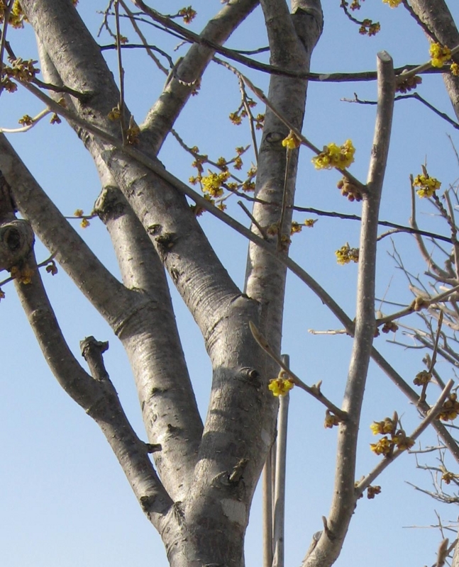 f:id:atarou:20120329171319j:image