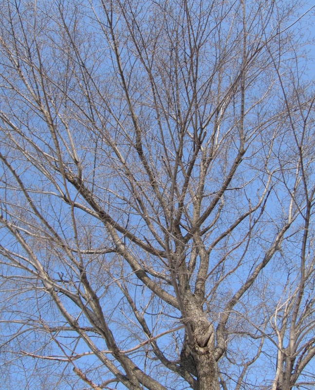 f:id:atarou:20120330054453j:image