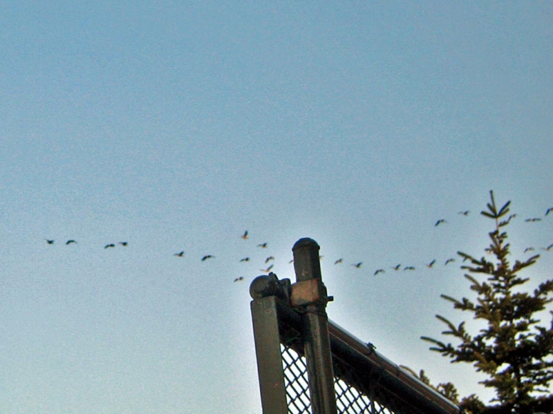 f:id:atarou:20120330054842j:image