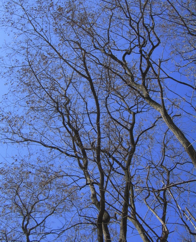 f:id:atarou:20120415175633j:image