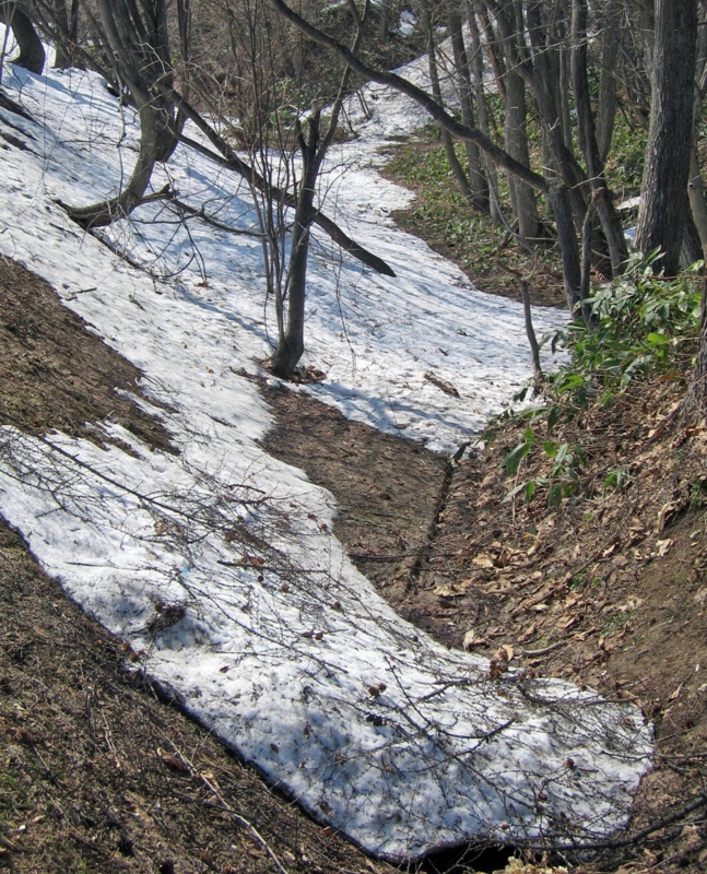 f:id:atarou:20120415181330j:image