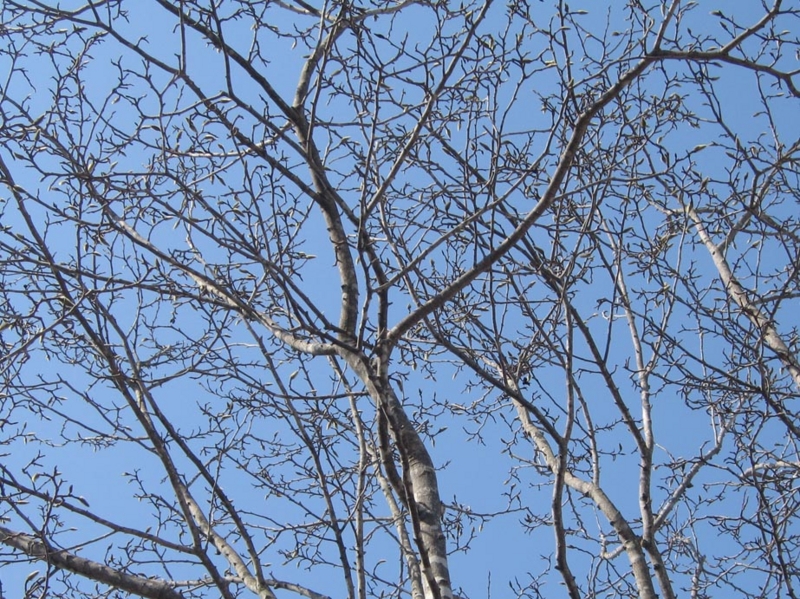 f:id:atarou:20120415181332j:image