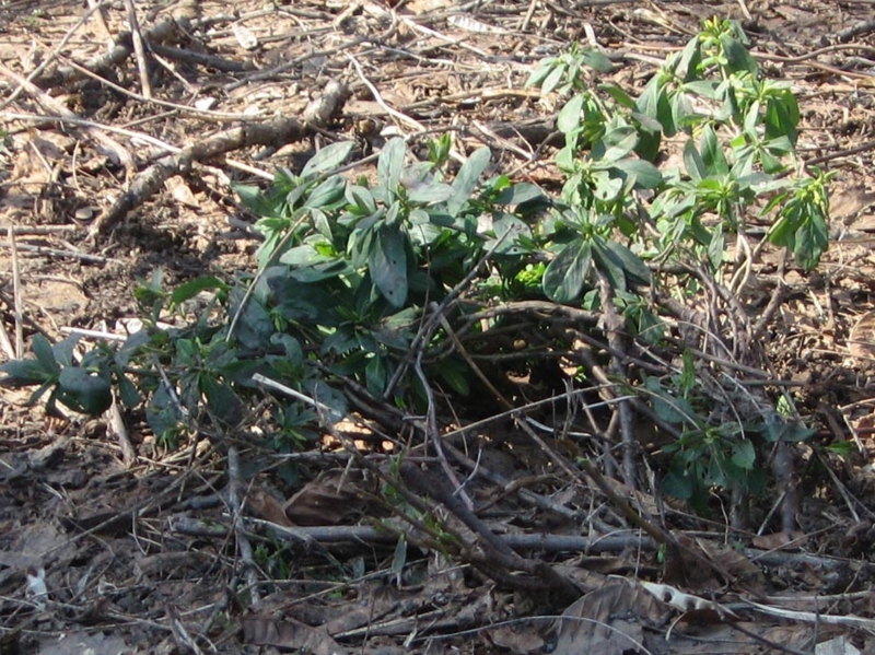 f:id:atarou:20120415182021j:image