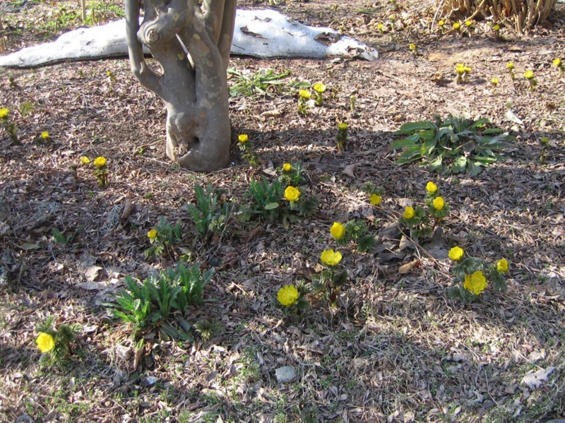 f:id:atarou:20120416061016j:image