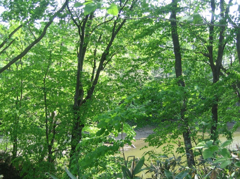 f:id:atarou:20120529060608j:image