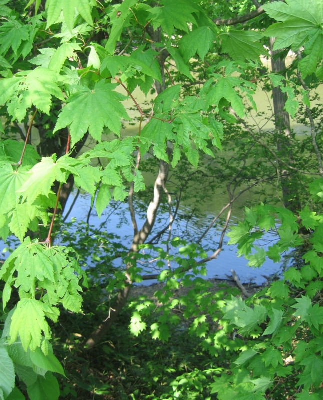 f:id:atarou:20120529060612j:image