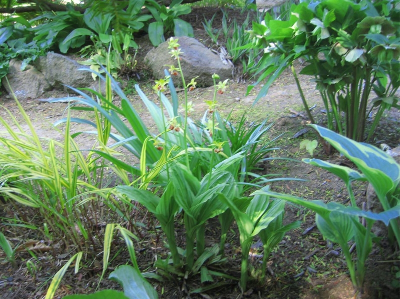 f:id:atarou:20120529061154j:image