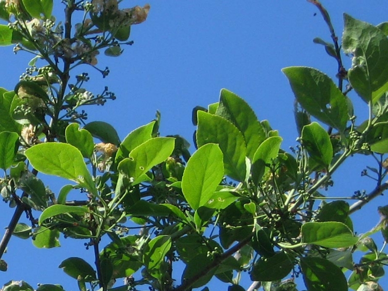 f:id:atarou:20120603063539j:image