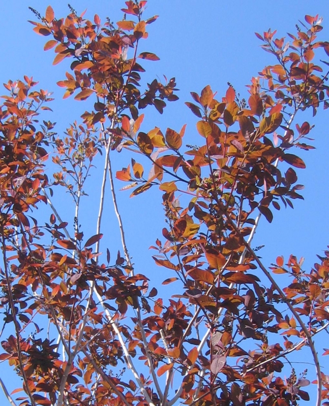 f:id:atarou:20120603063540j:image