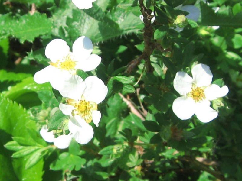 f:id:atarou:20120616062011j:image