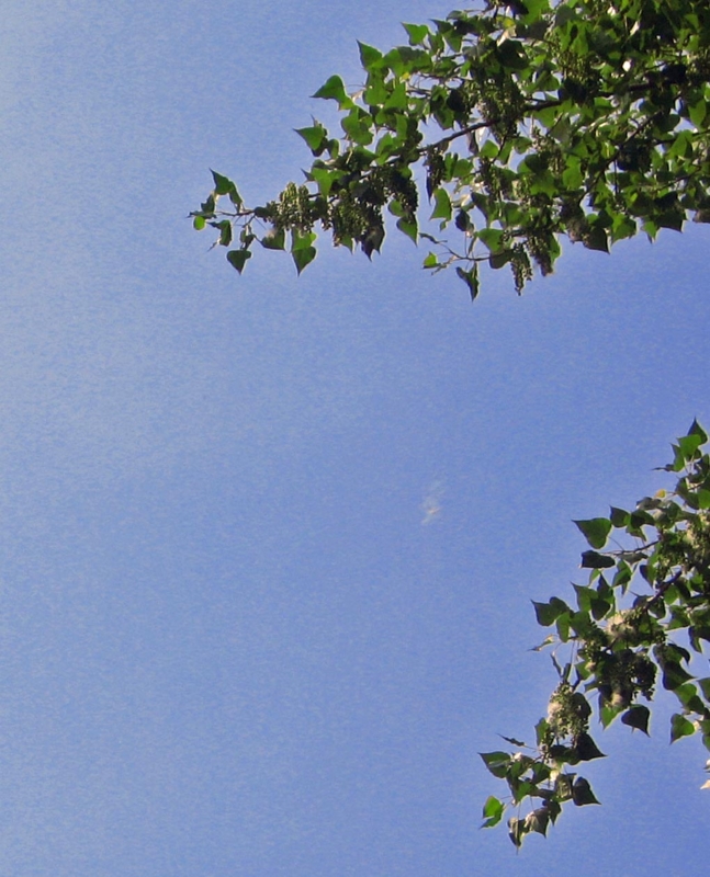f:id:atarou:20120616062818j:image