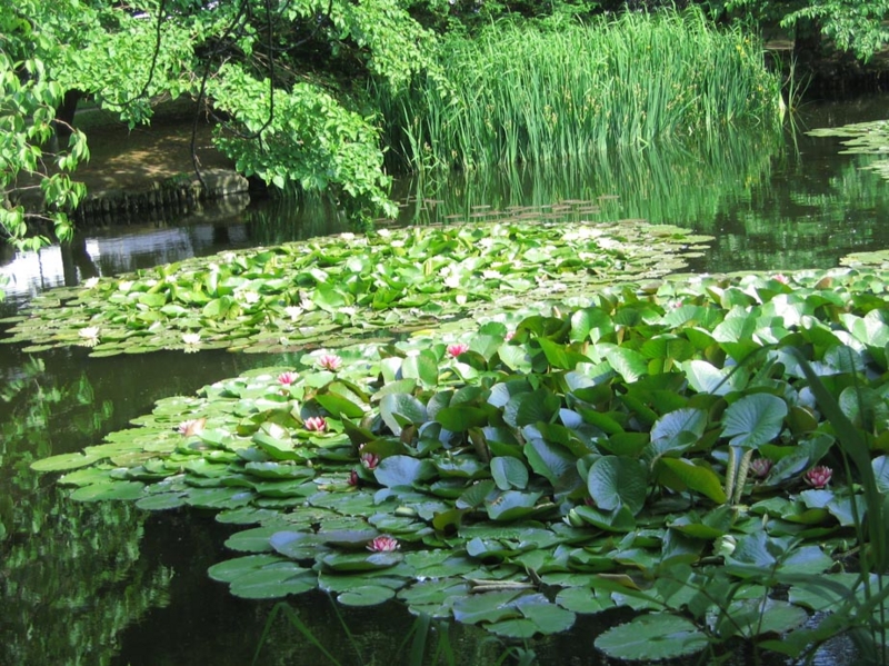 f:id:atarou:20120616063809j:image