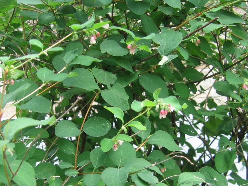 f:id:atarou:20120708174830j:image