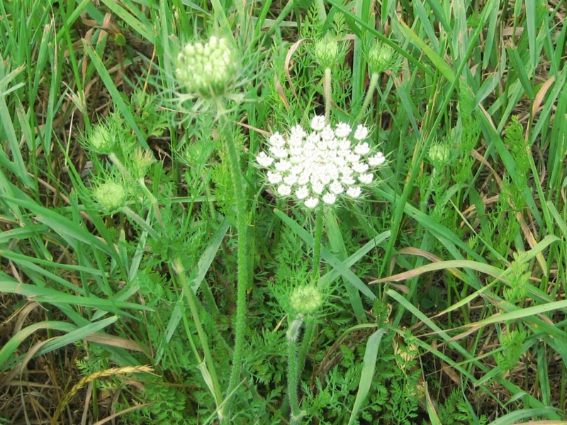 f:id:atarou:20120709062140j:image