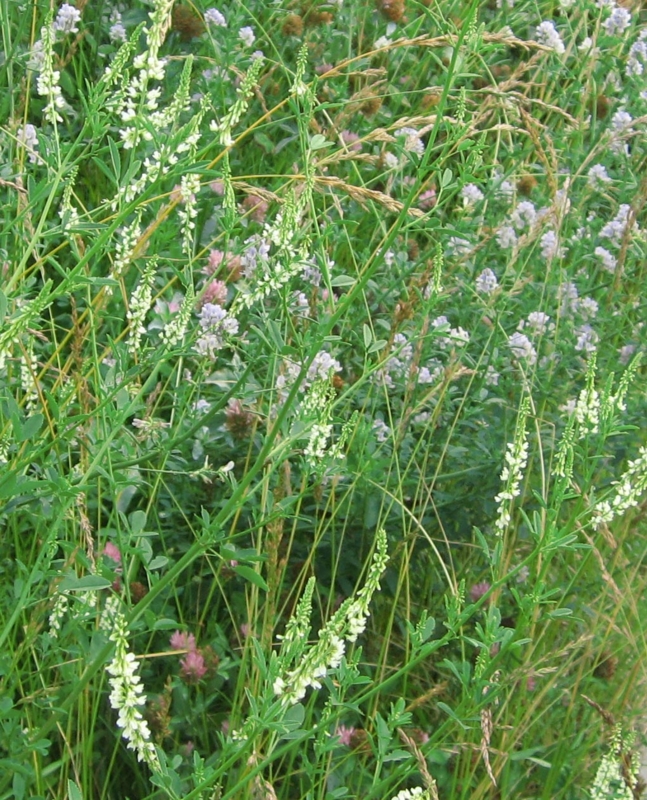 f:id:atarou:20120709062141j:image