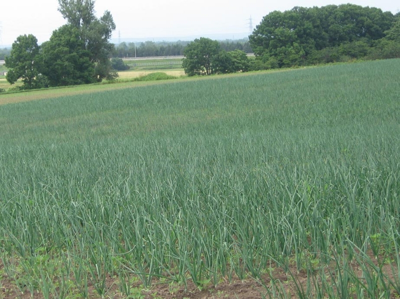 f:id:atarou:20120709063334j:image