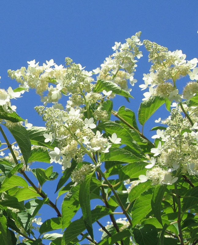 f:id:atarou:20120726181450j:image