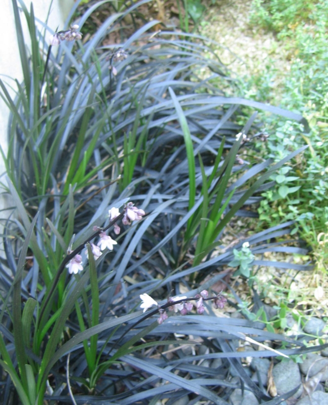 f:id:atarou:20120726183259j:image