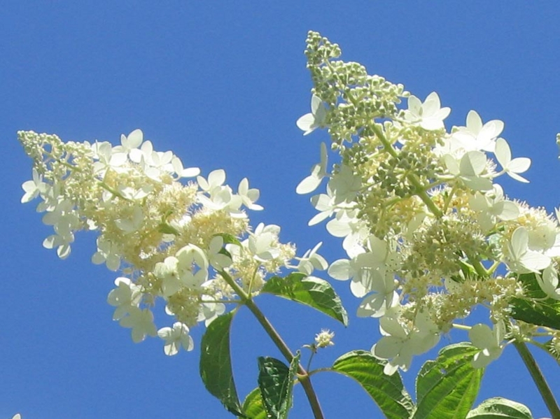 f:id:atarou:20120727063527j:image