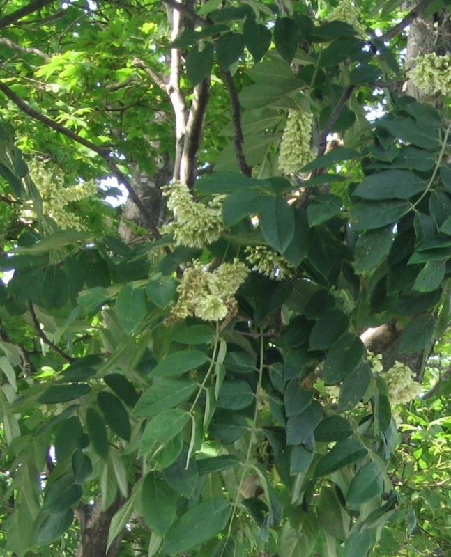 f:id:atarou:20120731163703j:image