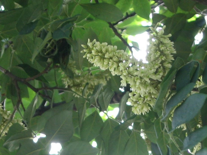 f:id:atarou:20120801055741j:image