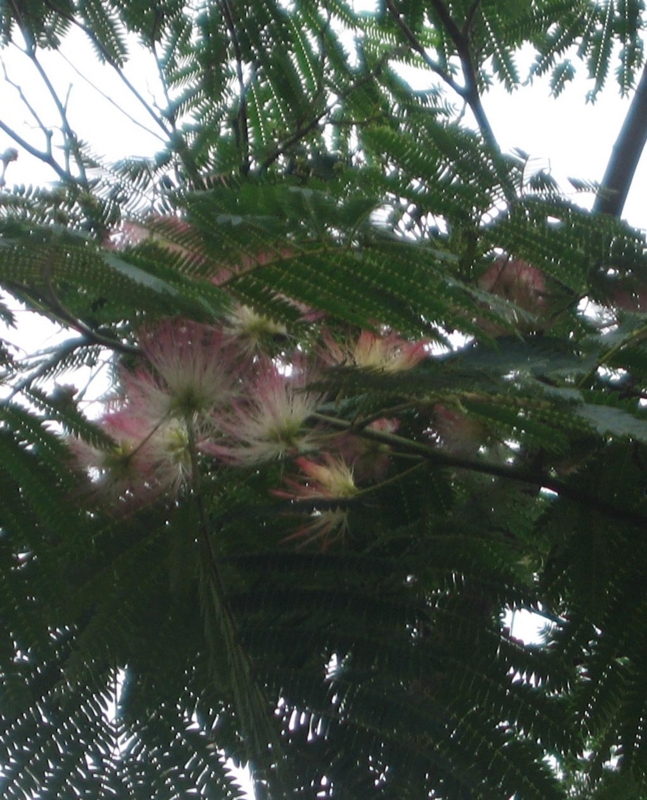 f:id:atarou:20120802055245j:image