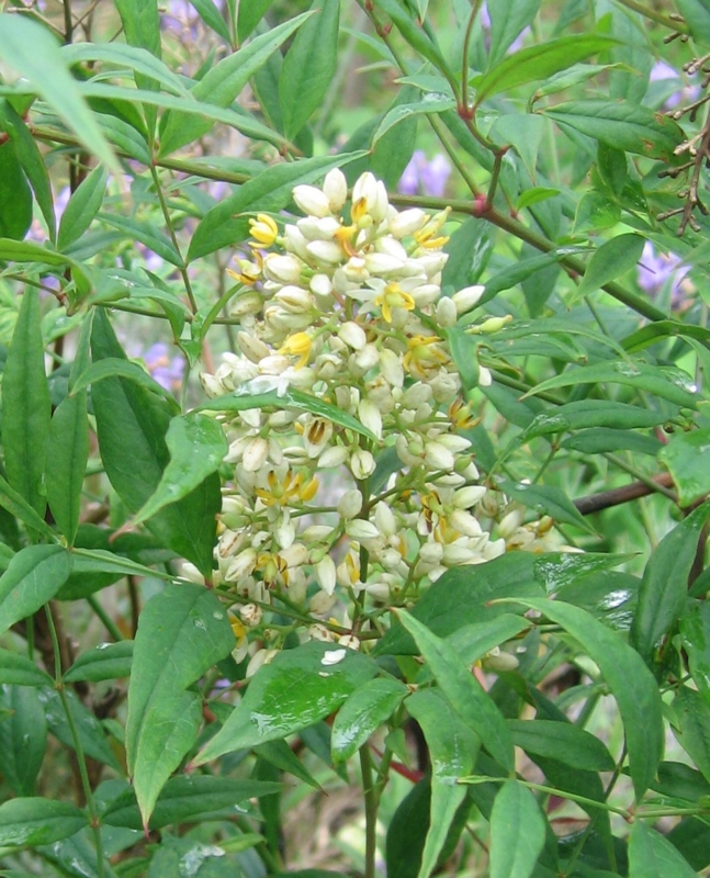 f:id:atarou:20120802060333j:image