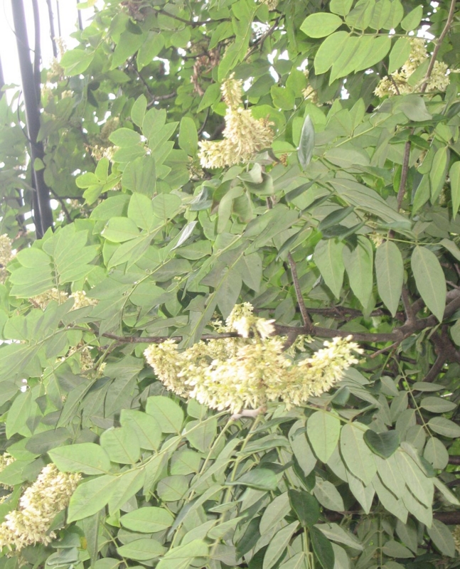 f:id:atarou:20120802061252j:image