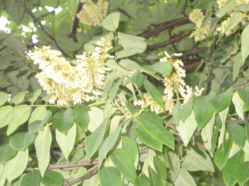 f:id:atarou:20120802063148j:image