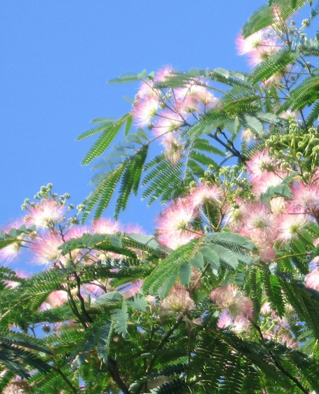 f:id:atarou:20120803180056j:image