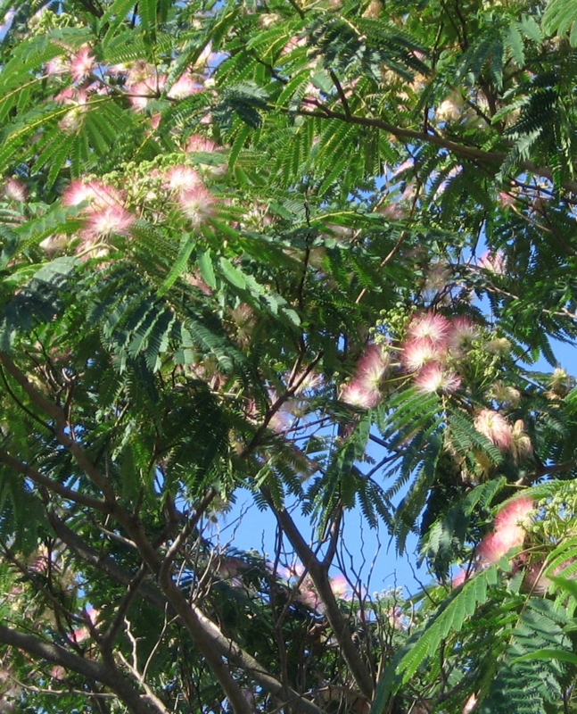 f:id:atarou:20120804060255j:image