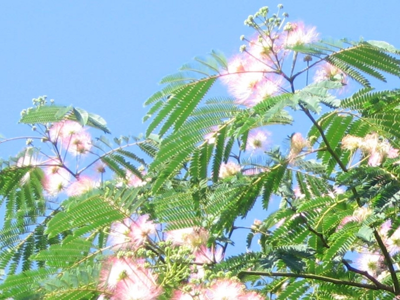 f:id:atarou:20120804060857j:image