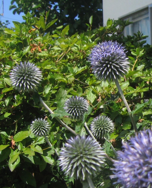 f:id:atarou:20120804193209j:image