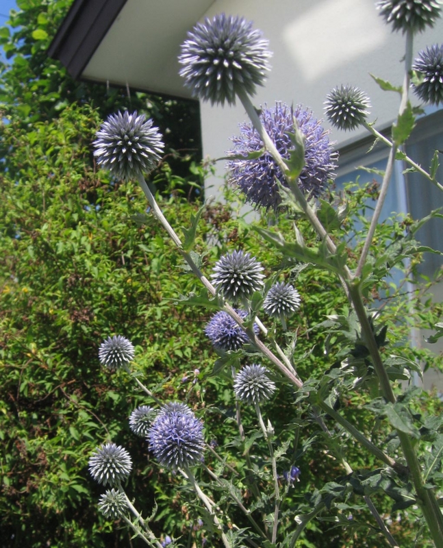 f:id:atarou:20120804194445j:image