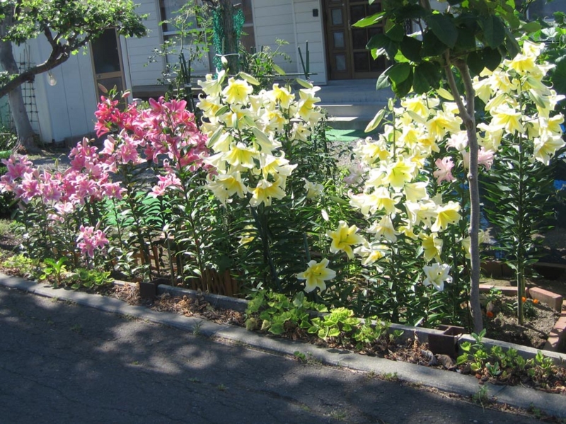 f:id:atarou:20120805060146j:image