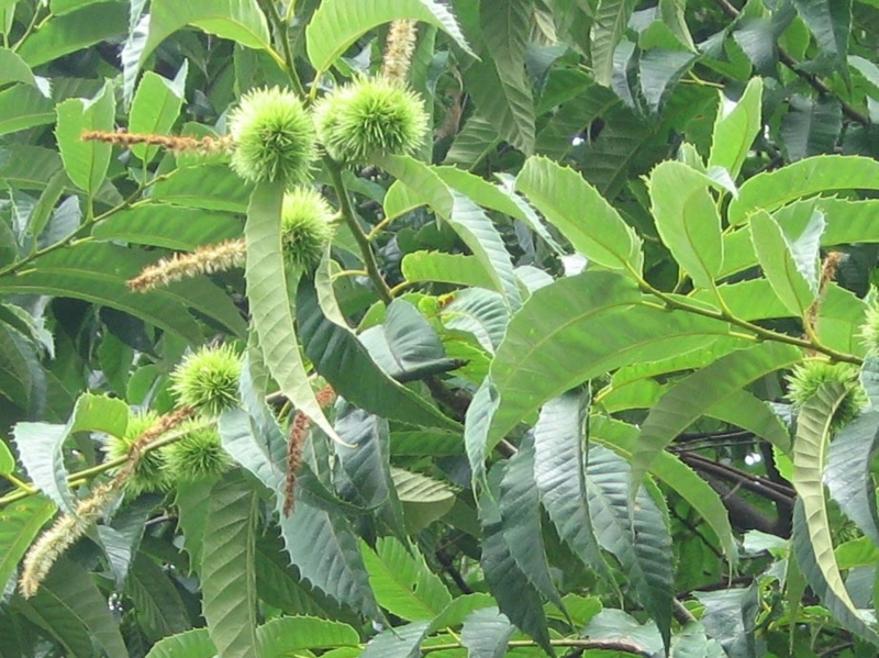 f:id:atarou:20120805060150j:image