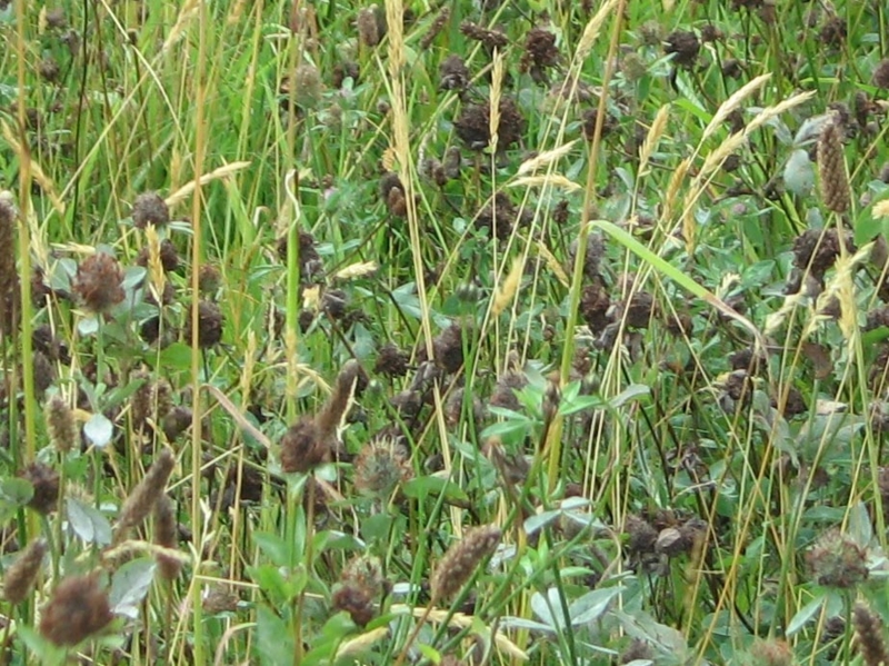 f:id:atarou:20120805061629j:image