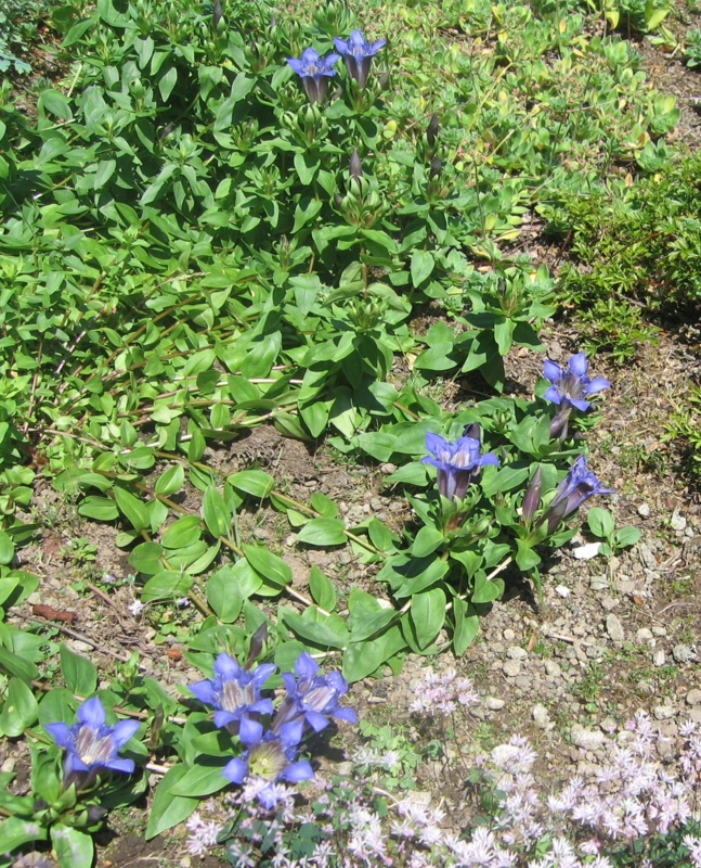 f:id:atarou:20120806045317j:image