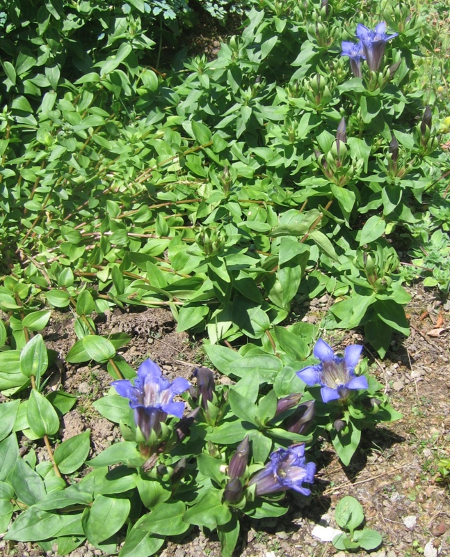 f:id:atarou:20120806045319j:image
