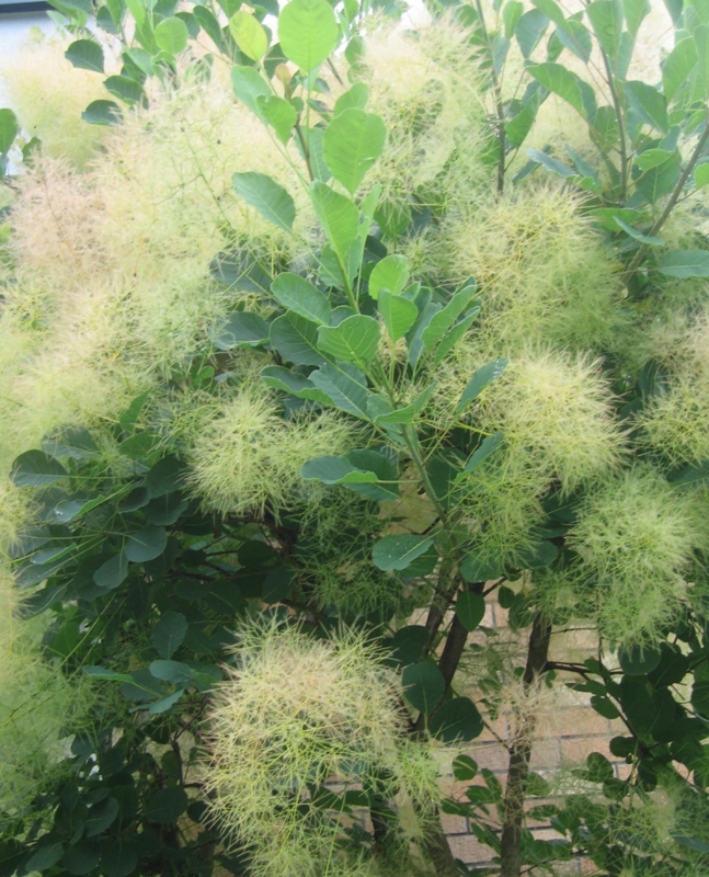 f:id:atarou:20120806051158j:image