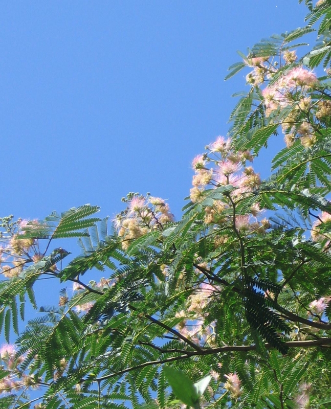 f:id:atarou:20120809055045j:image