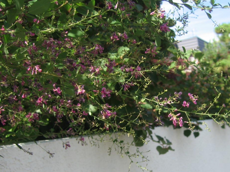 f:id:atarou:20120809055914j:image