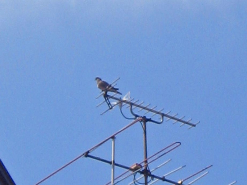 f:id:atarou:20120809170812j:image