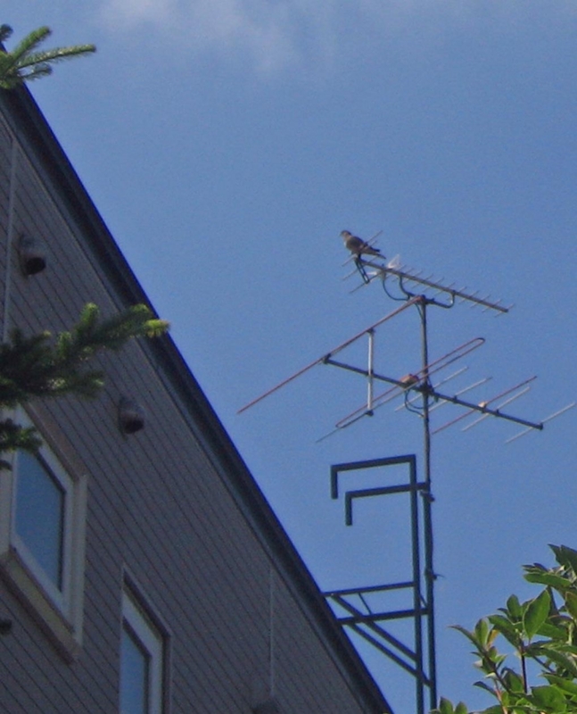 f:id:atarou:20120809170813j:image