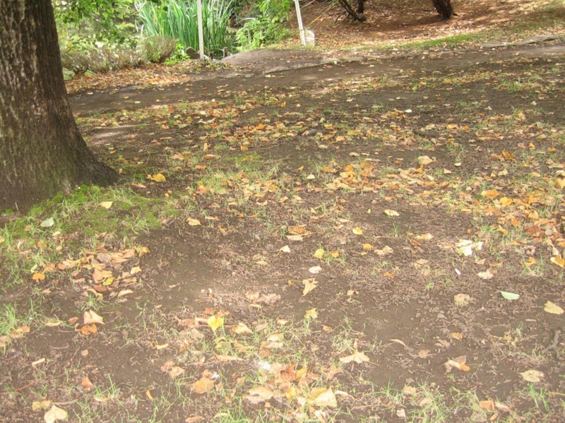 f:id:atarou:20120810180958j:image
