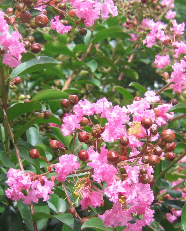 f:id:atarou:20120811051651j:image