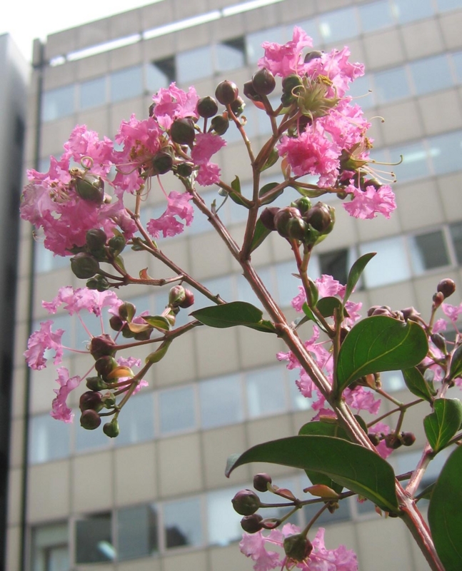 f:id:atarou:20120811051653j:image